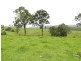 Wootton NSW 2423