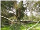 Stroud NSW 2425