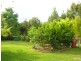 20 Higgins Close, Tea Gardens NSW 2324