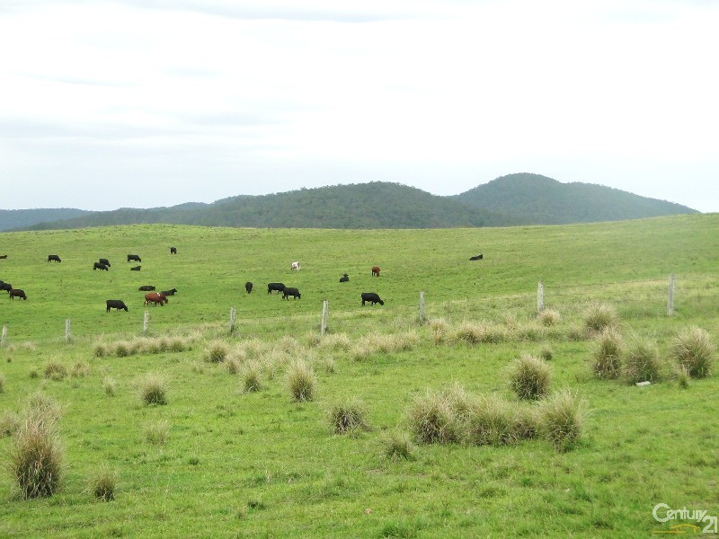 507 Markwell Rd, Bulahdelah NSW 2423