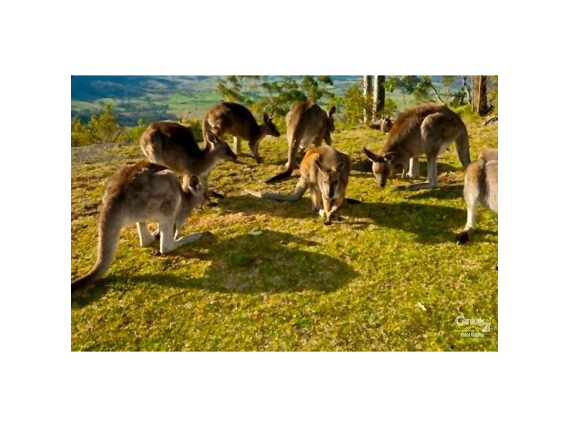 Valley View Eaglereach Highland Park Summerhill Rd, Vacy NSW 2421