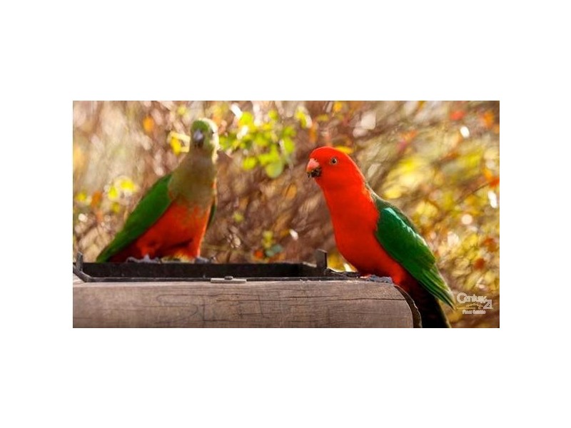 Valley View Eaglereach Highland Park Summerhill Rd, Vacy NSW 2421