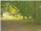 12 Wattle Street, Karuah NSW 2324