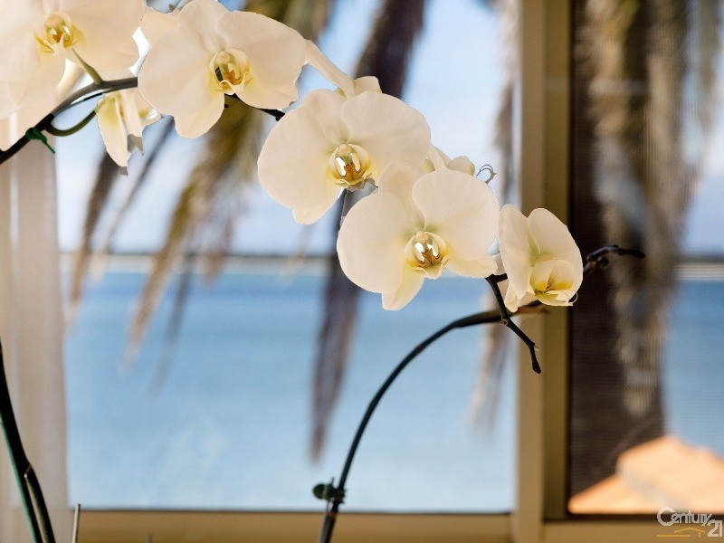 78 Cook Park, Sandringham NSW 2219