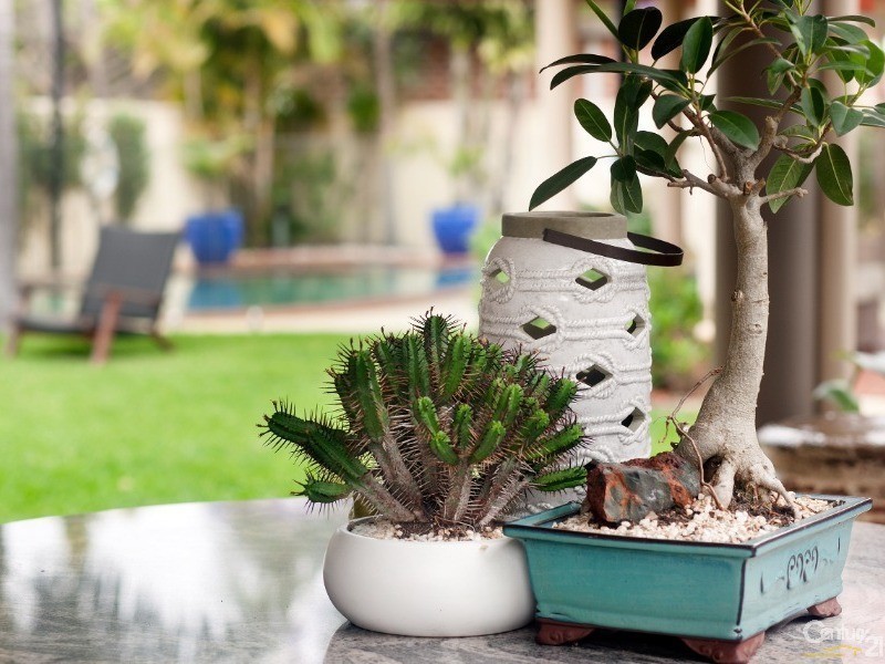 55 Toyer Avenue, Sans Souci NSW 2219