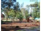 20 McMillan Avenue, Sandringham NSW 2219