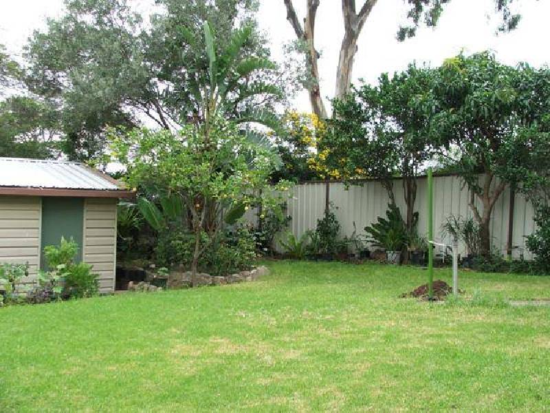 19 Bykool Avenue, Kingsgrove NSW 2208