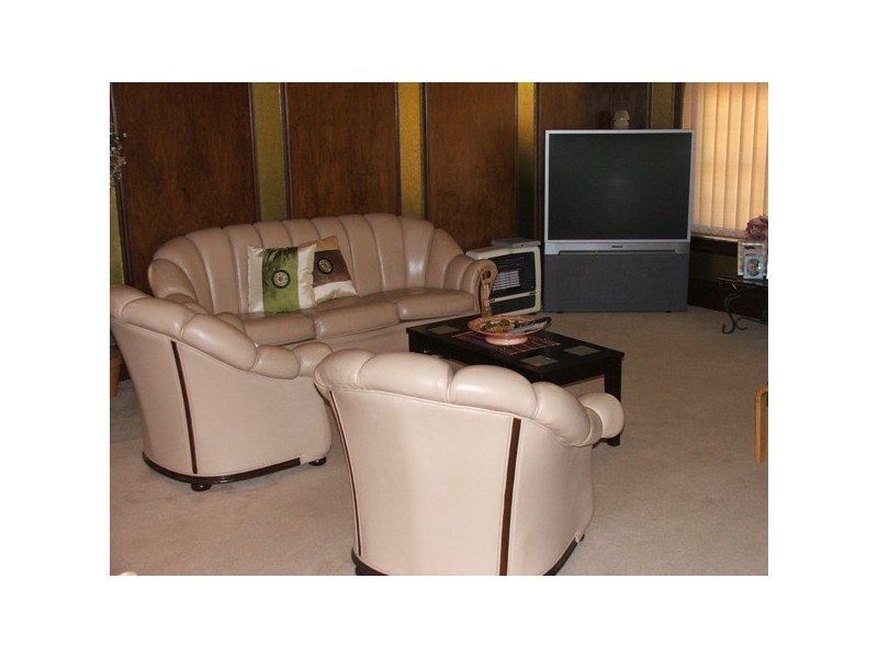 20 Nelson Road, Earlwood NSW 2206