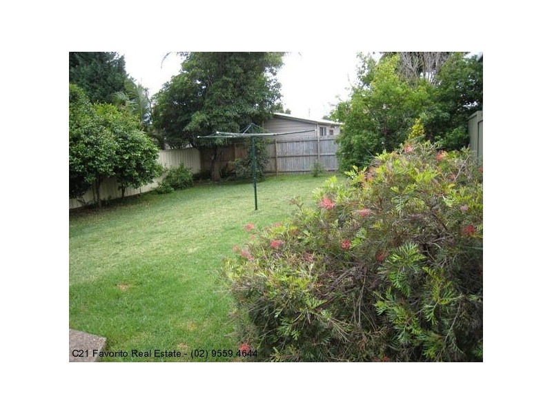 4 Tasker Avenue, Clemton Park NSW 2206