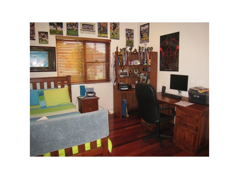 38 LAWN AVENUE, Clemton Park NSW 2206