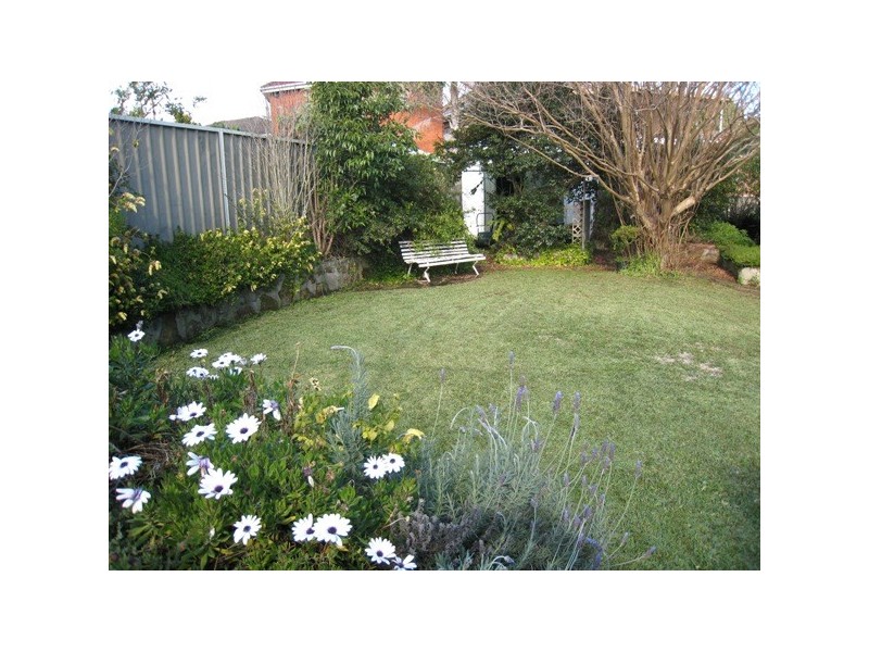 28 Francis Street, Earlwood NSW 2206