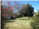 94 Northcote Street, Canterbury NSW 2193