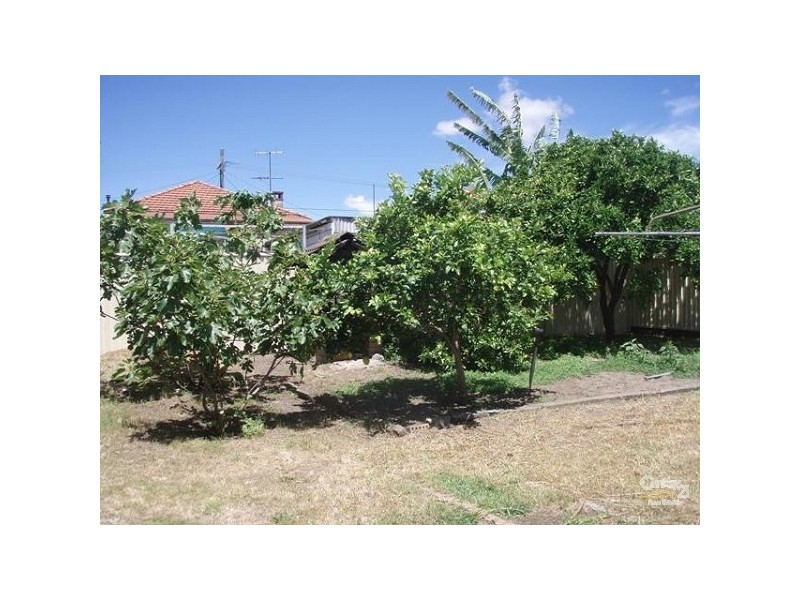 56 Richmond Street, Earlwood NSW 2206