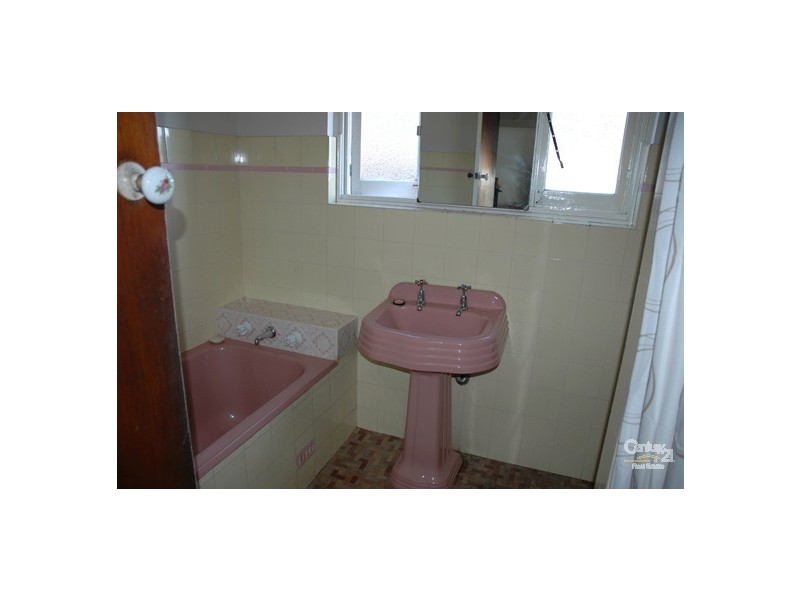 20 Pangee Street, Kingsgrove NSW 2208