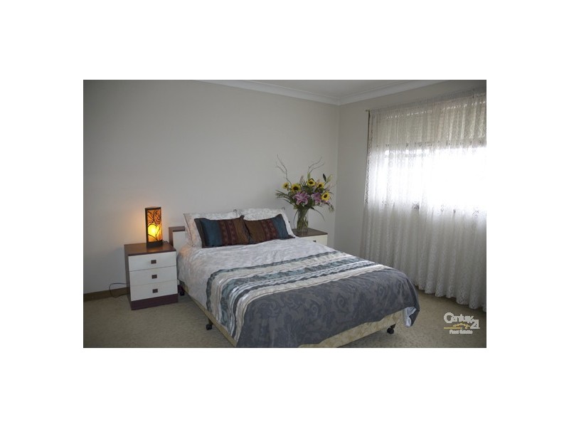 20 Pangee Street, Kingsgrove NSW 2208