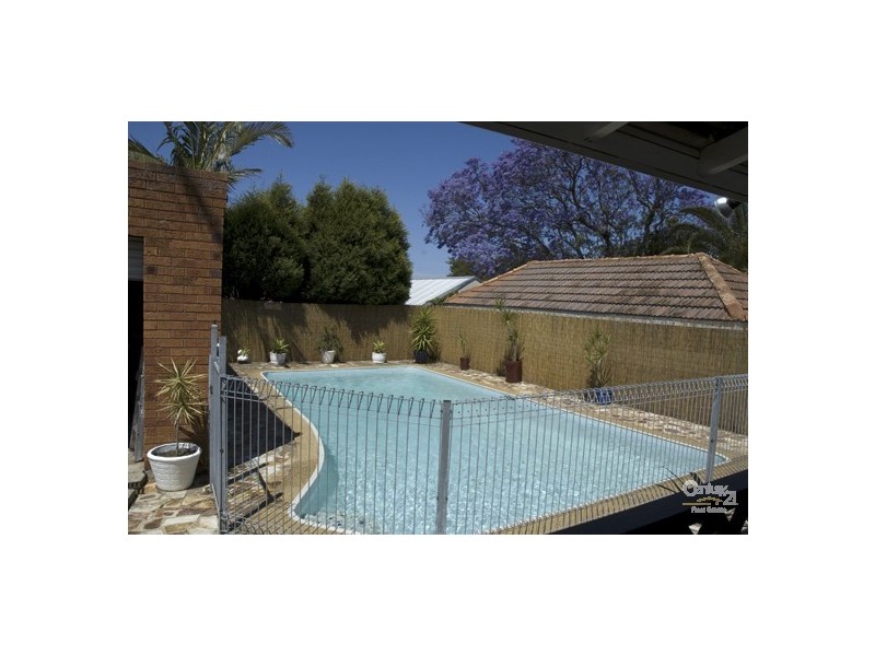 20 Pangee Street, Kingsgrove NSW 2208