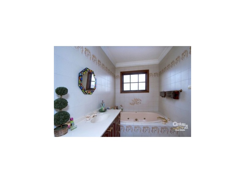 43 Highcliff Road, Earlwood NSW 2206