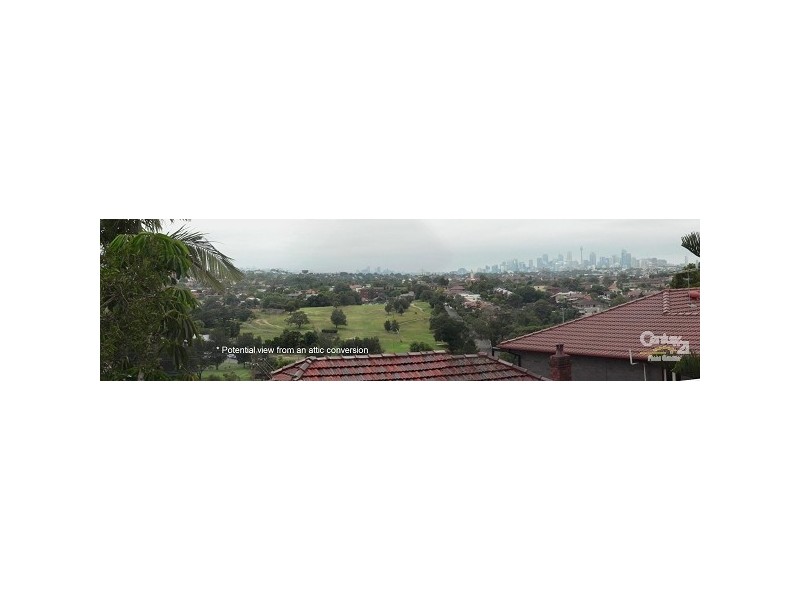 171 Bayview Avenue, Earlwood NSW 2206