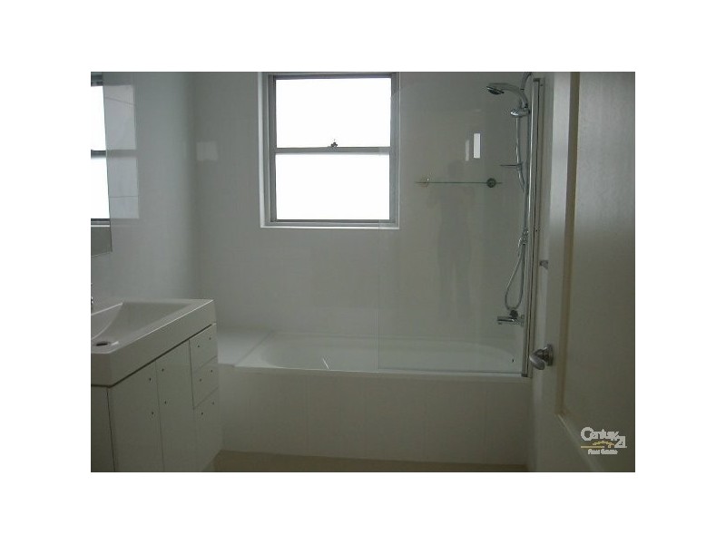 46 Moore Street, Bexley NSW 2207