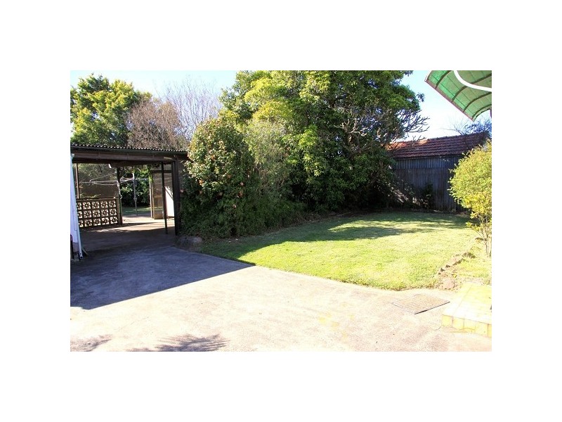 50 Ryrie Road, Earlwood NSW 2206