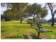 10 River Street, Earlwood NSW 2206