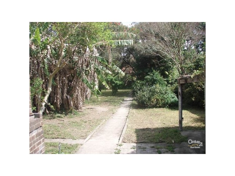 91 Wardell Road, Earlwood NSW 2206