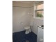 15 Undercliffe Road, Earlwood NSW 2206