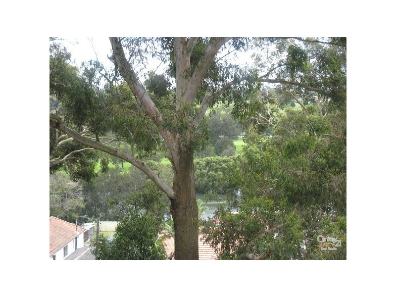 7B/83 Links House, Homer Street, Earlwood NSW 2206