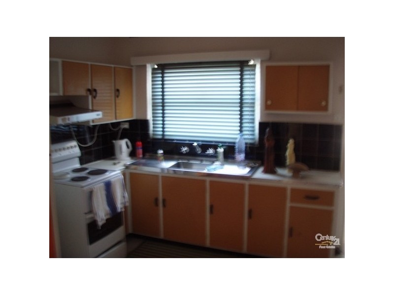 17 Mooney Avenue, Earlwood NSW 2206