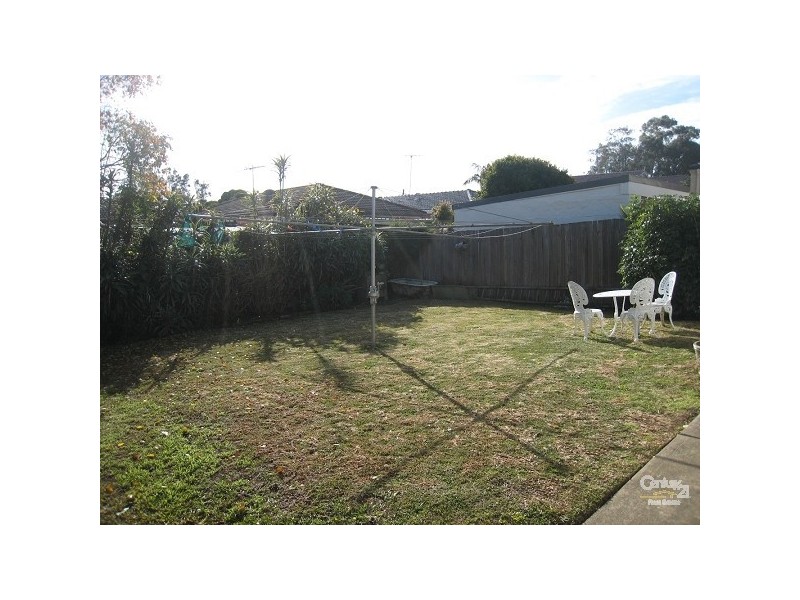 19 Elsie Street, Earlwood NSW 2206