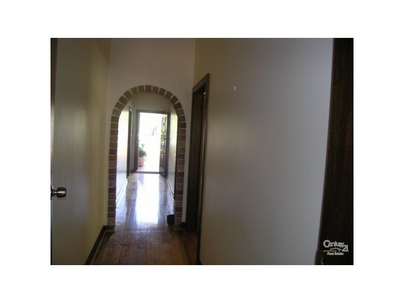 24 Howard Street, Canterbury NSW 2193