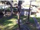 6 Junee Crescent, Kingsgrove NSW 2208