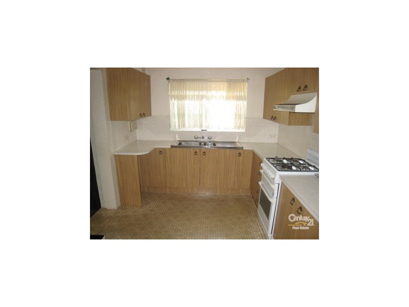 11 Roy Street, Kingsgrove NSW 2208