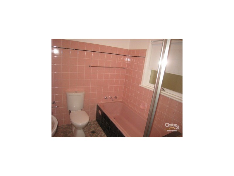 15 Undercliffe Road, Earlwood NSW 2206