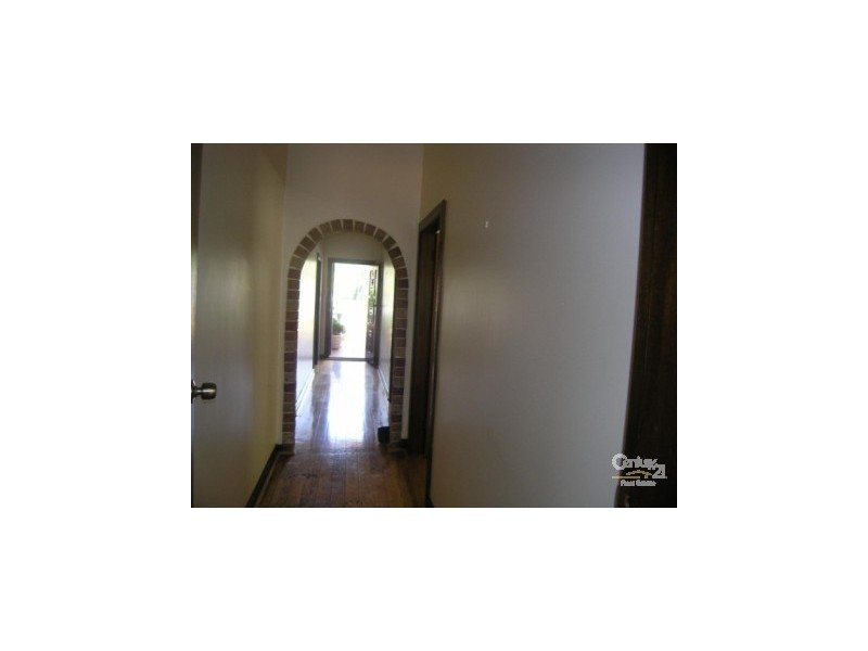 24 Howard Street, Canterbury NSW 2193