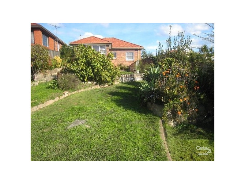 17 Mooney Avenue, Earlwood NSW 2206