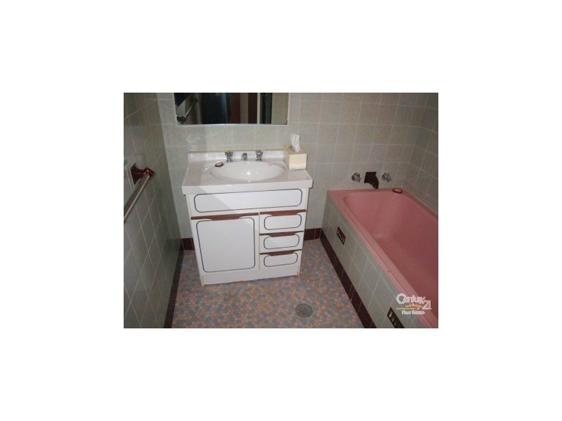 17 Mooney Avenue, Earlwood NSW 2206