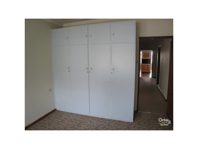 17 Mooney Avenue, Earlwood NSW 2206