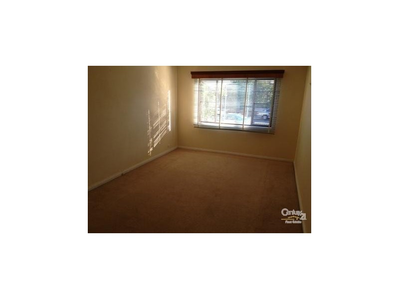 26 Leonora Avenue, Earlwood NSW 2206