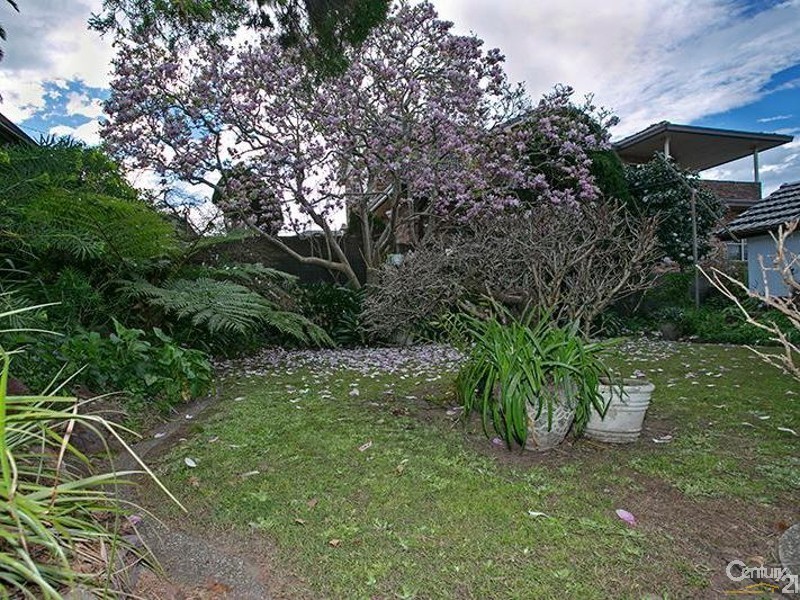 16 David Street, Earlwood NSW 2206