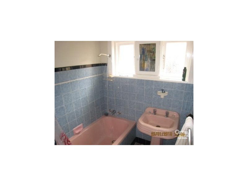 11 Downey Street, Bexley NSW 2207