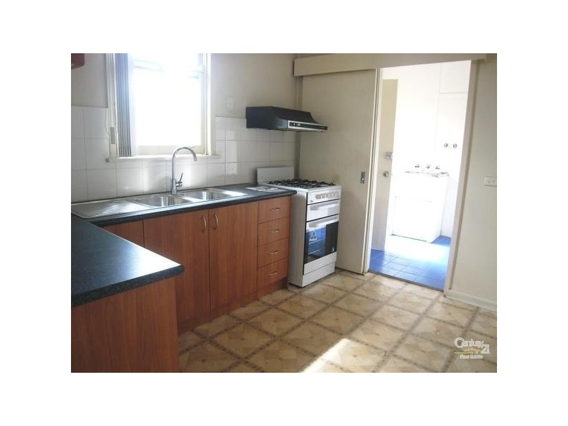 20 Armitree Street, Kingsgrove NSW 2208