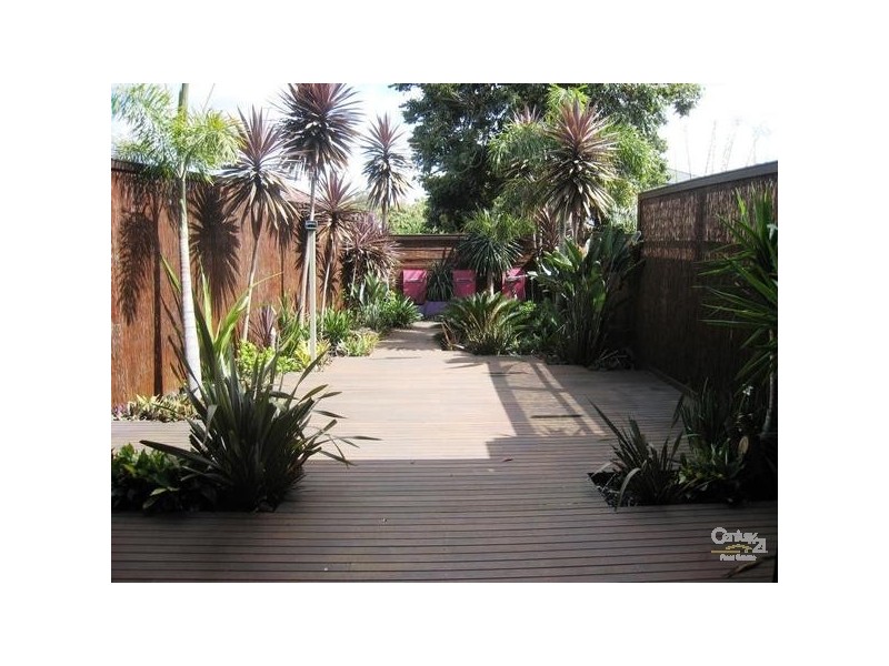 8c Wanstead Avenue, Earlwood NSW 2206