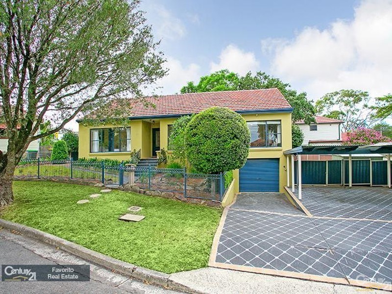 17 Page Street, Canterbury NSW 2193