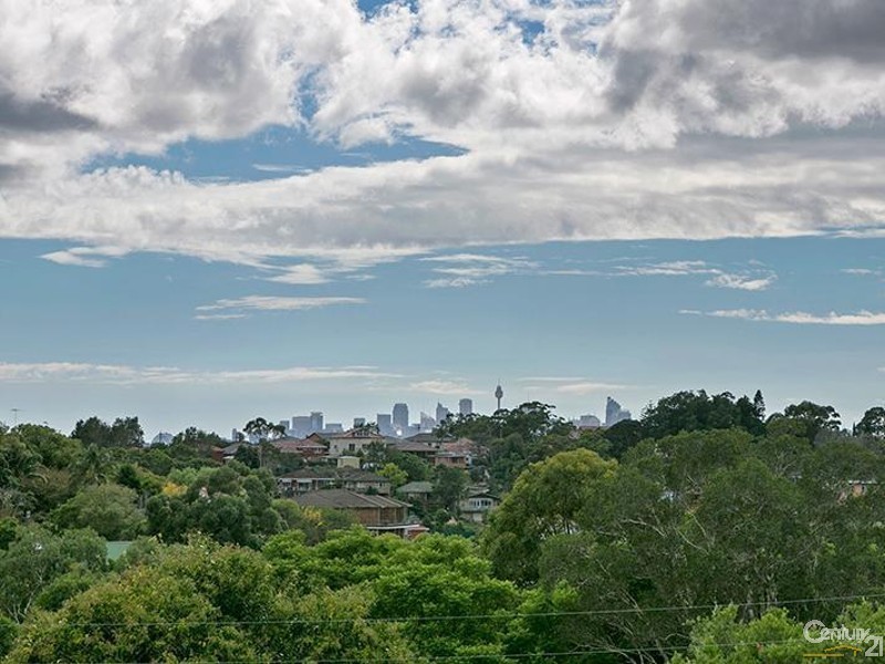 43 Hocking Avenue, Earlwood NSW 2206