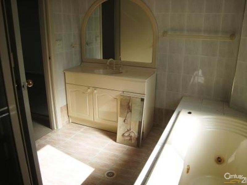 97A Northcote Street, Canterbury NSW 2193