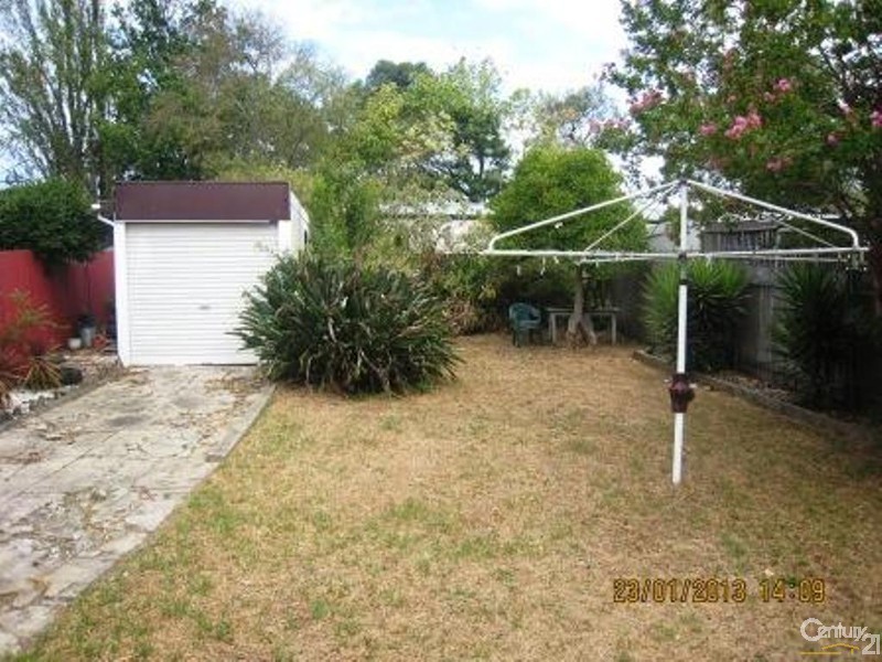 11 Downey Street, Bexley NSW 2207