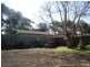 39 Francis Street, Earlwood NSW 2206