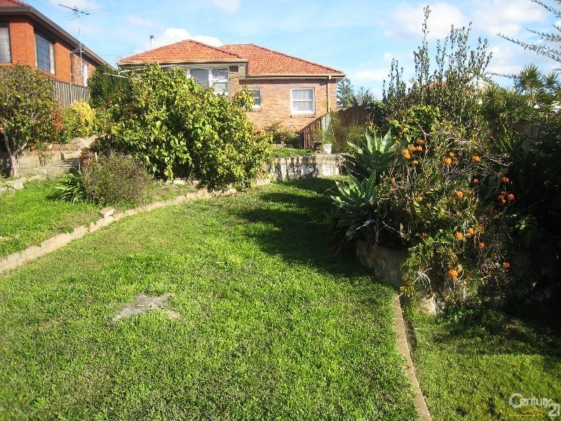 17 Mooney Avenue, Earlwood NSW 2206