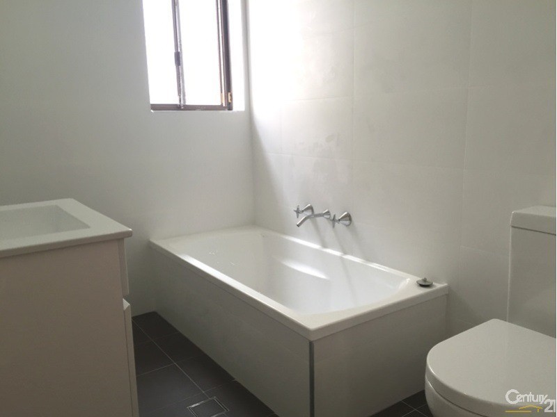 36 Macquarie Road, Earlwood NSW 2206